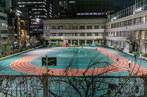甲与欧
