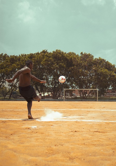 了新鲜血液 了新鲜血液