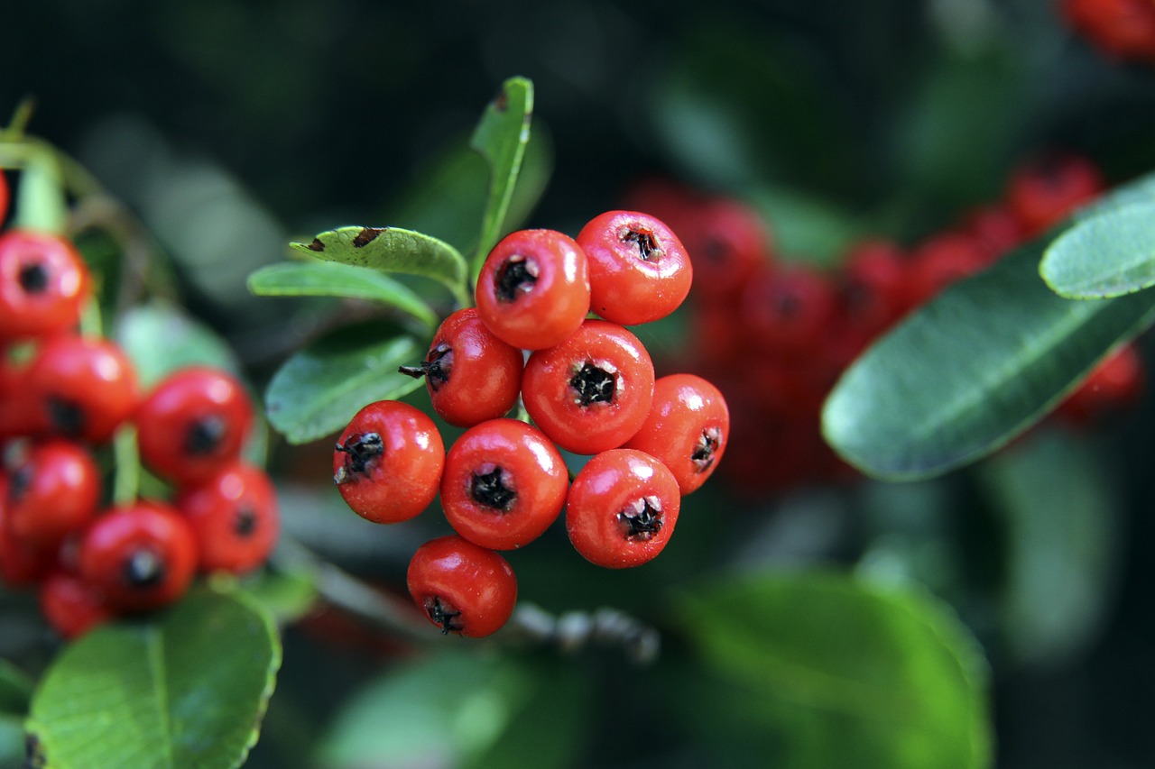 磊送出了不 磊送出了不