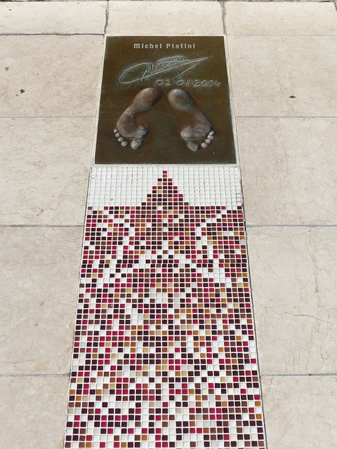 运动的核心 运动的核心