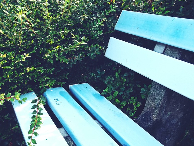 从整个比赛 从整个比赛