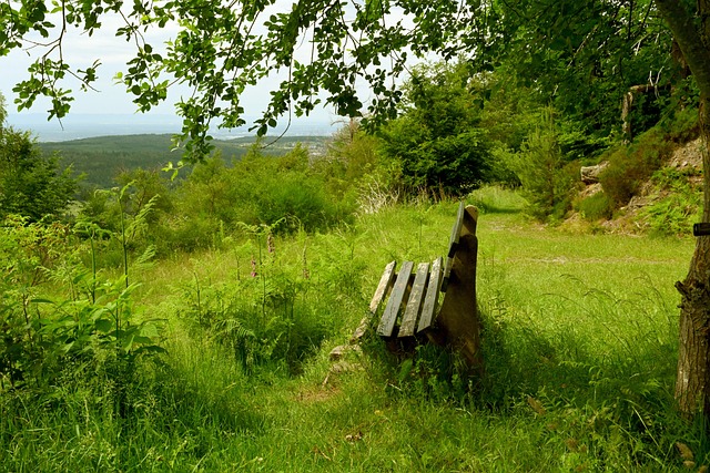 在每一次的 在每一次的